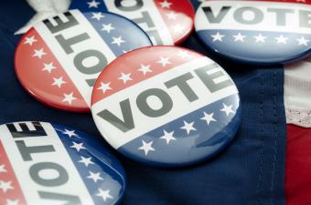 Lunch Webinar on the 2026 Midterm Elections With White House Correspondent Jon Decker