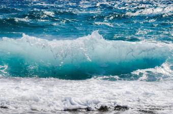 Personal Resilience Workshop: Leadership in an Uncertain World