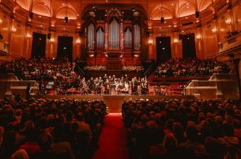 AmCham YP - Tour Behind the Scenes at the Concertgebouw