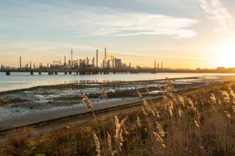 AmCham YP - Company Visit Dow Terneuzen - FOR YOUNG PROFESSIONALS
