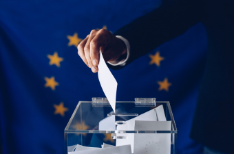 Webinar – Reflections on the EU Elections