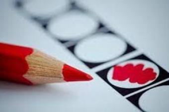 Lunch Webinar – Reflections on the Dutch General Elections