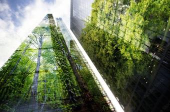 The Role of Legal in Furthering ESG