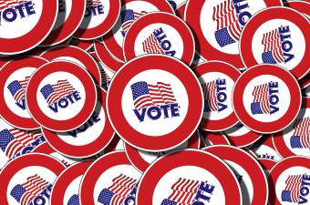 Reflections on the 2022 U.S. Midterm Elections with Jess O'Connell (Online)