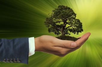 ESG Litigation on the Rise: How to Turn Risks Into Opportunities