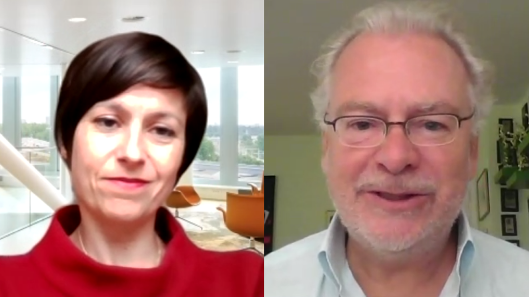 Webinar: A Transatlantic Discussion on the Expansion of U.S.-Style Litigation in the Netherlands Webinar: A Transatlantic Discussion on the Expansion of U.S.-Style Litigation in the Netherlands