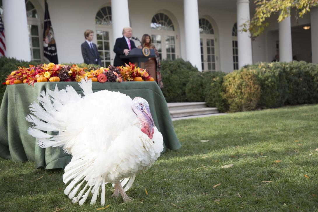 Thanksgiving at the White House, Then and Now Thanksgiving at the White House, Then and Now