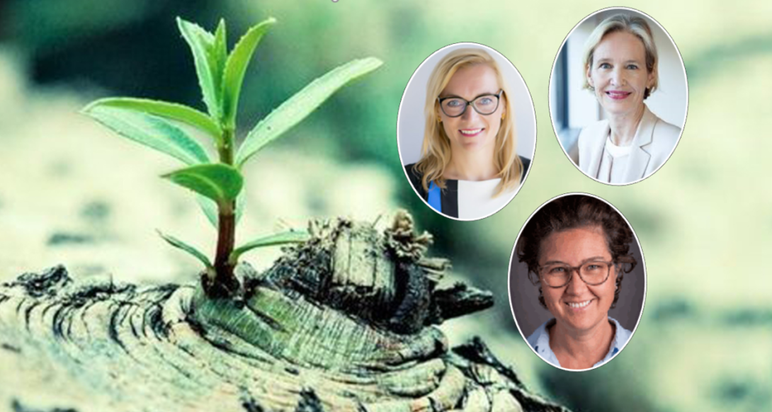 Webinar - Success through Resilience and Adaptability: The Human Aspects of the Next Normal Webinar - Success through Resilience and Adaptability: The Human Aspects of the Next Normal